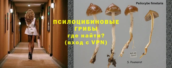 МДПВ Верея