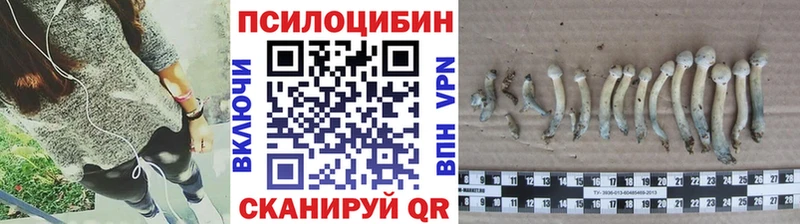 Галлюциногенные грибы GOLDEN TEACHER  Кинешма 